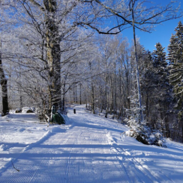 Skipass Tageskarte